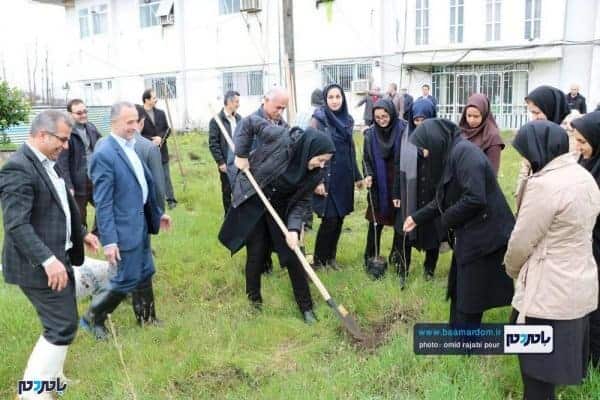کاشت نهال به یاد شهدای سانچی و مدافع حرم توسط جهاد کشاورزی رودسر 11 - کاشت نهال به یاد شهدای سانچی و مدافع حرم توسط جهاد کشاورزی رودسر + تصاویر - احسان الله مشتاق