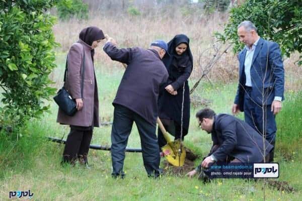 کاشت نهال به یاد شهدای سانچی و مدافع حرم توسط جهاد کشاورزی رودسر 12 - کاشت نهال به یاد شهدای سانچی و مدافع حرم توسط جهاد کشاورزی رودسر + تصاویر - احسان الله مشتاق