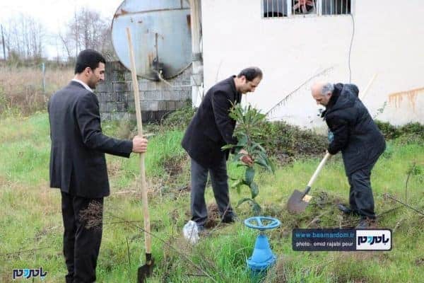 کاشت نهال به یاد شهدای سانچی و مدافع حرم توسط جهاد کشاورزی رودسر 13 - کاشت نهال به یاد شهدای سانچی و مدافع حرم توسط جهاد کشاورزی رودسر + تصاویر - احسان الله مشتاق