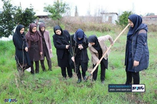 کاشت نهال به یاد شهدای سانچی و مدافع حرم توسط جهاد کشاورزی رودسر 14 - کاشت نهال به یاد شهدای سانچی و مدافع حرم توسط جهاد کشاورزی رودسر + تصاویر - احسان الله مشتاق