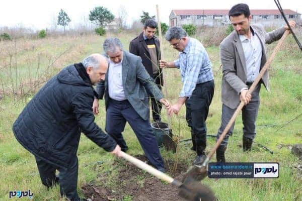 کاشت نهال به یاد شهدای سانچی و مدافع حرم توسط جهاد کشاورزی رودسر 16 - کاشت نهال به یاد شهدای سانچی و مدافع حرم توسط جهاد کشاورزی رودسر + تصاویر - احسان الله مشتاق