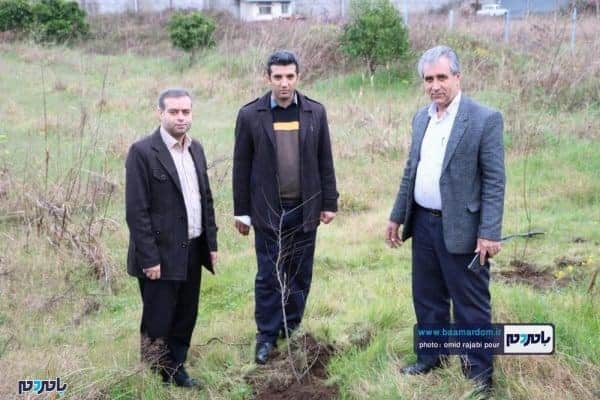 کاشت نهال به یاد شهدای سانچی و مدافع حرم توسط جهاد کشاورزی رودسر 17 - کاشت نهال به یاد شهدای سانچی و مدافع حرم توسط جهاد کشاورزی رودسر + تصاویر - احسان الله مشتاق