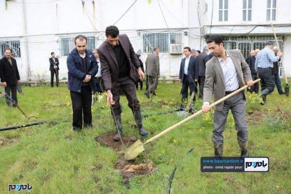 کاشت نهال به یاد شهدای سانچی و مدافع حرم توسط جهاد کشاورزی رودسر 6 - کاشت نهال به یاد شهدای سانچی و مدافع حرم توسط جهاد کشاورزی رودسر + تصاویر - احسان الله مشتاق