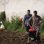 اولین کشت بادام‌زمینی سال 1397 در بندرکیاشهر 6 - گزارش تصویری اولین کشت بادام‌زمینی سال 1397 در بندر کیاشهر - آستانه‌اشرفیه