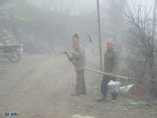 سفر متفاوت فرماندار رودسر به روستای گیری در اشکورات رحیم‌آباد 8 - سفر متفاوت فرماندار رودسر به روستای گیری در اشکورات رحیم‌آباد + تصاویر - آقاسیدخلیل