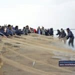 صید ماهی در بندر کیاشهر 3 - گزارش تصویری از صید ماهی در بندر کیاشهر - بندر کیاشهر