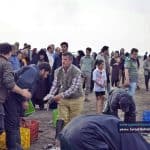 صید ماهی در بندر کیاشهر 4 - گزارش تصویری از صید ماهی در بندر کیاشهر - بندر کیاشهر