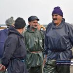 صید ماهی در بندر کیاشهر 6 - گزارش تصویری از صید ماهی در بندر کیاشهر - بندر کیاشهر