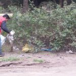 پاکسازی زباله در بندر کیاشهر 12 - جنگل کاج بندر کیاشهر از زباله پاک‌سازی شد | گزارش تصویری - استان گیلان