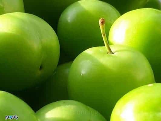 گوجه سبز - گوجه سبز چه ویتامین هایی دارد؟ - سبز