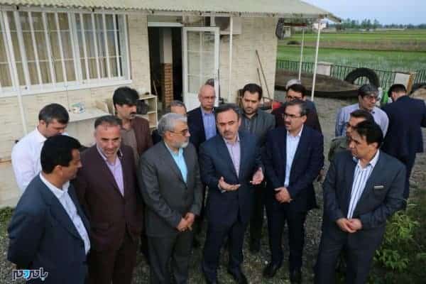 حضور سرمایه‌گذاران داخلی بخش گردشگری در شهرستان لاهیجان 8 - حضور سرمایه‌گذاران داخلی بخش گردشگری در شهرستان لاهیجان + تصاویر - سرپرست لاهیجان