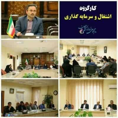 photo ۲۰۱۸ ۰۶ ۰۳ ۱۶ ۵۰ ۵۰ - یک هزار و ۴۶۰ فرصت شغلی در لاهیجان ایجاد می شود - 'dghk