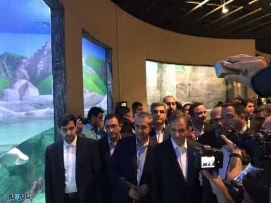 افتتاح بزرگترین مجموعه تفریحی و گردشگری آکواریوم و باغ خزندگان ایران در منطقه آزاد انزلی - افتتاح بزرگترین مجموعه تفریحی و گردشگری آکواریوم و باغ خزندگان ایران در منطقه آزاد انزلی - آکواریوم