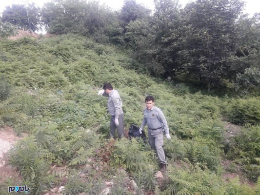 پنجمین برنامه هفتگی جمعه ها با محیط زیست در بام سبز لاهیجان 4 - پنجمین برنامه هفتگی جمعه‌ها با محیط زیست در بام سبز لاهیجان برگزار شد + تصاویر - بام سبز