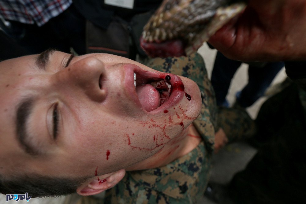 نوشیدن خون مار توسط سربازان ارتش + تصاویر