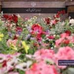 دومین نشست منطقه‌ای بانوان عضو شورای اسلامی شهرها و روستاهای استان گیلان 8 - گزارش تصویری دومین نشست منطقه‌ای بانوان عضو شورای اسلامی شهرها و روستاهای استان گیلان در رشت - استان گیلان