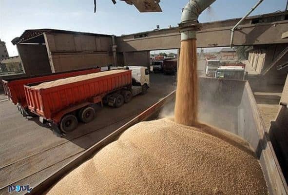 سیلو گندم - ١٠٠ هزار تن غلات در سیلوها و انبارهای بندرانزلی منتظر دریافت مجوز خروج هستند - سیلو