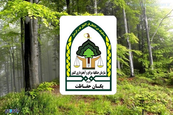 بازهم حمله به مامورین حفاظت واحد منابع طبیعی در گیلان