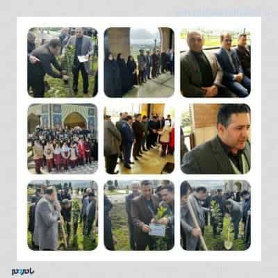 photo ۲۰۱۹ ۰۳ ۱۰ ۰۱ ۰۹ ۲۷ - امروز نیاز است که درزمینه کاشت، مراقبت و نگهداری از درخت تلاش بیشتری نماییم - با مردم