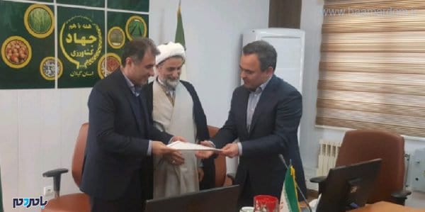 جانبازی1 - سرپرست معاونت توسعه مدیریت و منابع سازمان جهاد کشاورزی استان گیلان منصوب شد - امیر جانبازی