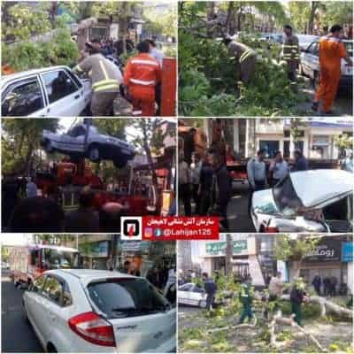 سقوط درخت بر روی دو خودروی سواری در لاهیجان - سقوط درخت بر روی دو خودروی سواری در لاهیجان - سقوط درخت