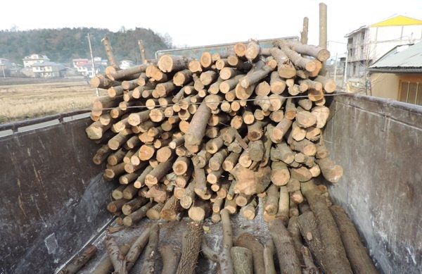 کشف 8 تن چوب قاچاق در رودسر