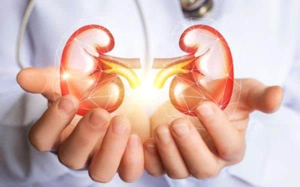 کلیه - دفع سنگ کلیه با 6 نوشیدنی طبیعی فوق العاده - دفع سنگ کلیه
