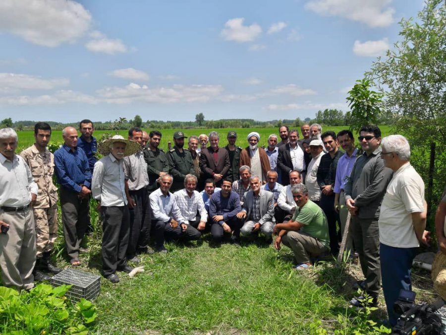 بازدید ریاست سازمان بسیج مهندسین کشاورزی و منابع طبیعی کشور از شالیزارهای کشاورزان لاهیجان