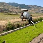 شالیزار در گیلان 7 - این کویر یک شالیزار در گیلان است! / گزارش تصویری - شالیزار در گیلان