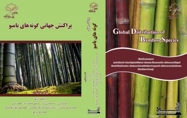 بامبو و پراکنش جهانی گونه های آن 1024x646 - تحول اقتصاد گیلان با گیاه بامبو، نیازمند حمایت همه جانبه مسئولین است! - بامبو