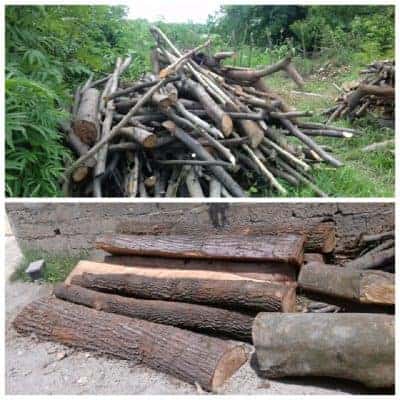 کشف 10 تن چوب جنگلی قاچاق در شفت - کشف 10 تن چوب جنگلی قاچاق در شفت - چوب جنگلی قاچاق
