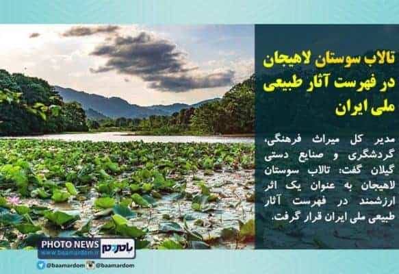 تالاب سوستان لاهیجان در فهرست آثار طبیعی ملی ایران - تالاب «سوستان» در فهرست آثار طبیعی ملی ایران قرار گرفت - تالاب سوستان