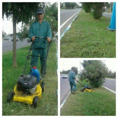 کاشت گل‌های فصلی و عملیات چمن زنی بلوارها و پارک های سطح شهر لنگرود 3 - گزارش تصویری / کاشت گل‌های فصلی و عملیات چمن زنی بلوارها و پارک های سطح شهر لنگرود - شهرداری لنگرود