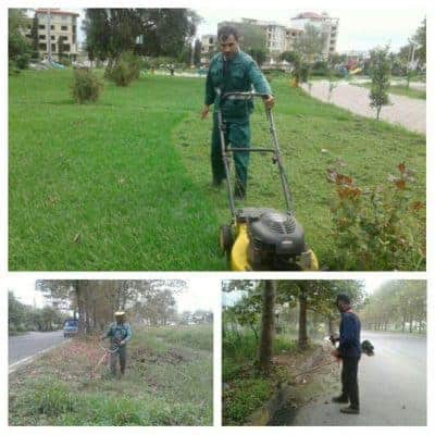 کاشت گل‌های فصلی و عملیات چمن زنی بلوارها و پارک های سطح شهر لنگرود 4 - گزارش تصویری / کاشت گل‌های فصلی و عملیات چمن زنی بلوارها و پارک های سطح شهر لنگرود - شهرداری لنگرود