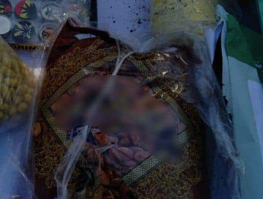 کشف تخمه ژاپنی با مغز تریاک2 - کشف تخمه ژاپنی با مغز تریاک + عکس - تخمه ژاپنی با مغز تریاک