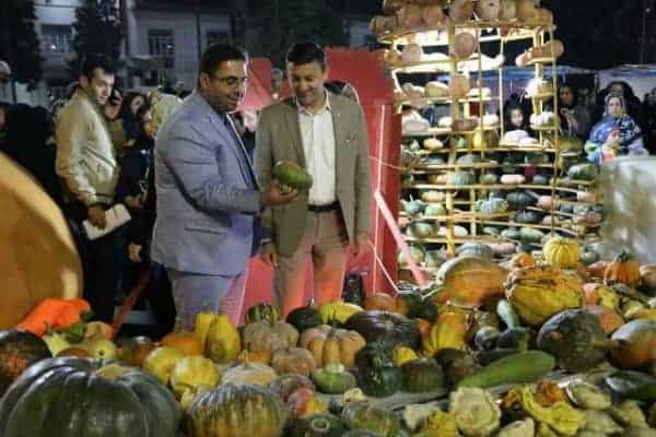 از جشنواره کدو در پیاده راه فرهنگی 2 - جشنواره هایی همچون جشنواره کدو به شادابی و نشاط اجتماعی کمک می کنند - جشنواره کدو