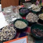گزارش تصویری جشن ثبت ملی قله سماموس بلندترین قله استان گیلان 7 - گزارش تصویری جشن ثبت ملی قله سماموس بلندترین قله استان گیلان - سماموس