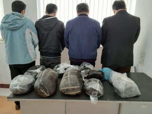 کشف 55 کیلو تریاک در لاهیجان 1 - کشف 55 کیلو تریاک در لاهیجان - تریاک در لاهیجان