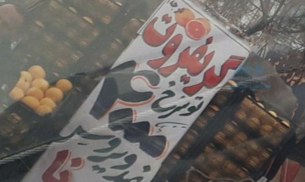 58833 - میوه ضد ویروس کرونا در ایران! +عکس - کرونا