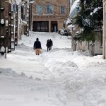 برف لاهیجان 6 - یک روز پس از بارش برف سنگین در لاهیجان / گزارش تصویری - برف سنگین در لاهیجان