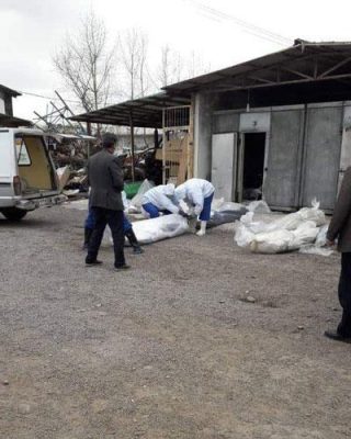 تصاویری دردناک از باغ رضوان رشت 3 - تصاویری دردناک از باغ رضوان رشت - باغ رضوان رشت