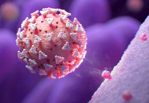 علائم جدید کرونا که شاید تاکنون نشنیده باشید - جدیدترین اطلاعات در رابطه با انتقال ویروس کرونا از طریق غذا -