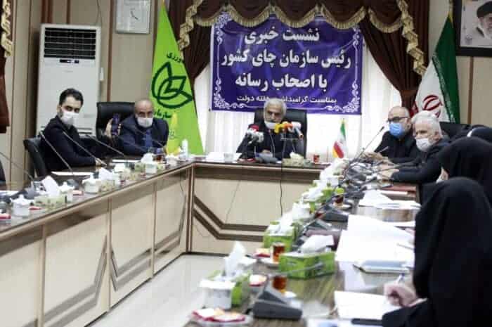 نشست خبری رئیس سازمان چای کشور با اصحاب رسانه 6 - خریداری ۱۳۰ هزار تن برگ سبز چای از چایکاران / پرداخت ۳۲۲ میلیارد تومان از مطالبات چایکاران - برگ سبز چای