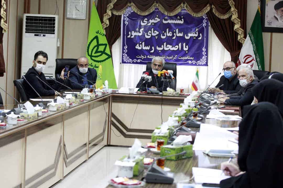 خریداری ۱۳۰ هزار تن برگ سبز چای از چایکاران / پرداخت ۳۲۲ میلیارد تومان از مطالبات چایکاران