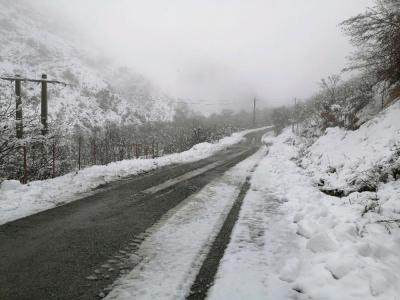 بارش برف 80 روستای این شهرستان را سفید پوش کرد