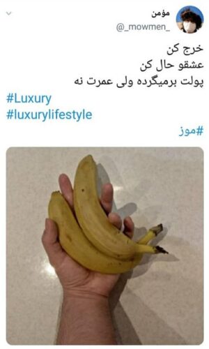 واکنش کاربران توئیتری به قیمت نجومیِ موز 3 - واکنش کاربران توئیتری به قیمت نجومیِ موز / طرح تعویض یارانه با یک کیلو موز! - قیمت موز