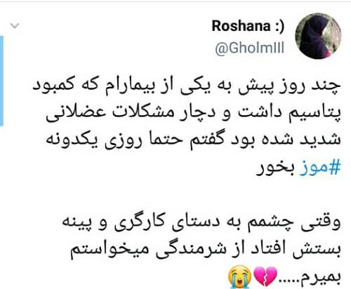 واکنش کاربران توئیتری به قیمت نجومیِ موز 4 - واکنش کاربران توئیتری به قیمت نجومیِ موز / طرح تعویض یارانه با یک کیلو موز! - قیمت موز