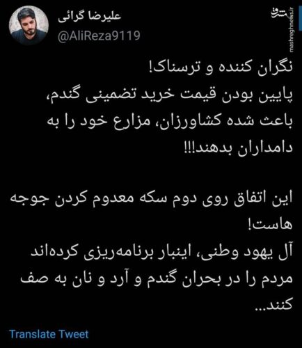 3111595 1 - یک تصمیم اقتصادی ترسناک؛ نان جیره بندی می‌شود؟ - جیره بندی نان