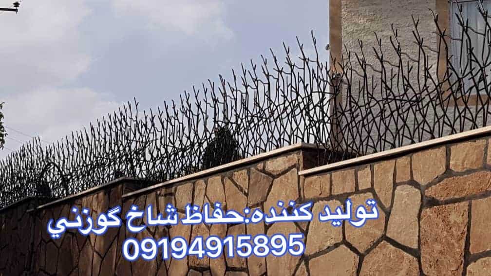 حفاظ شاخ گوزنی