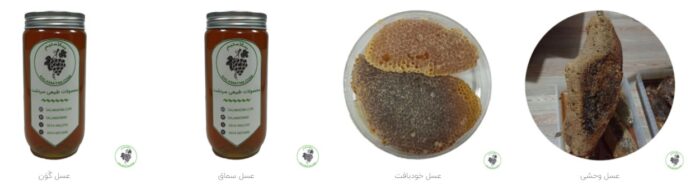 honey - بهترین محصولات طبیعی سردشت (عسل، سماق و انگور سیاه) - محصولات سردشت